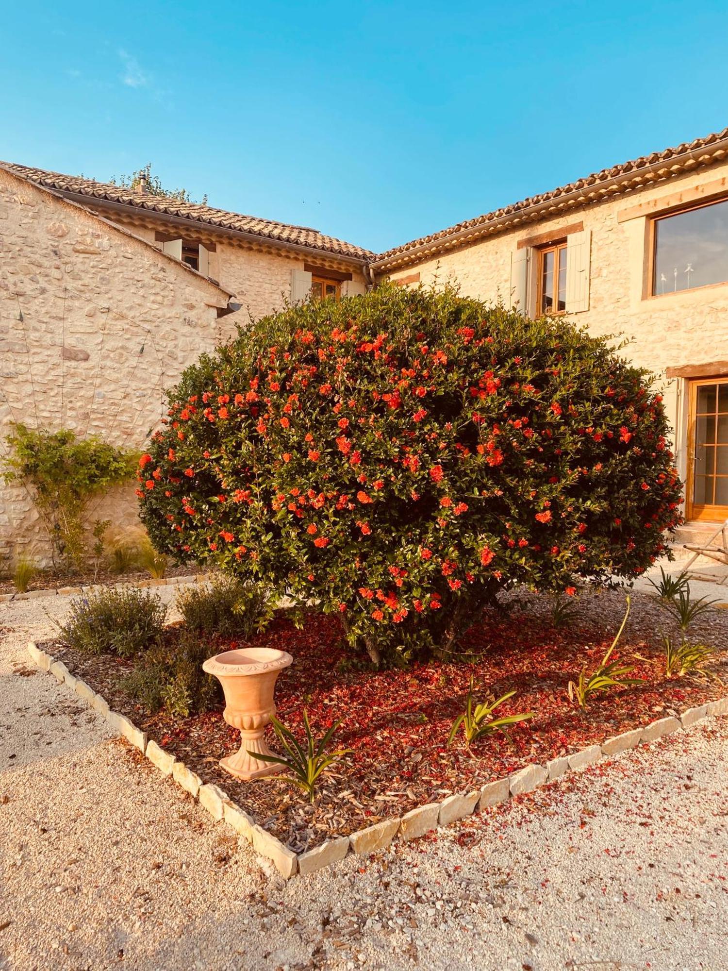 Holiday home La Bastide Des Oliviers Provence - Aux Baronnies