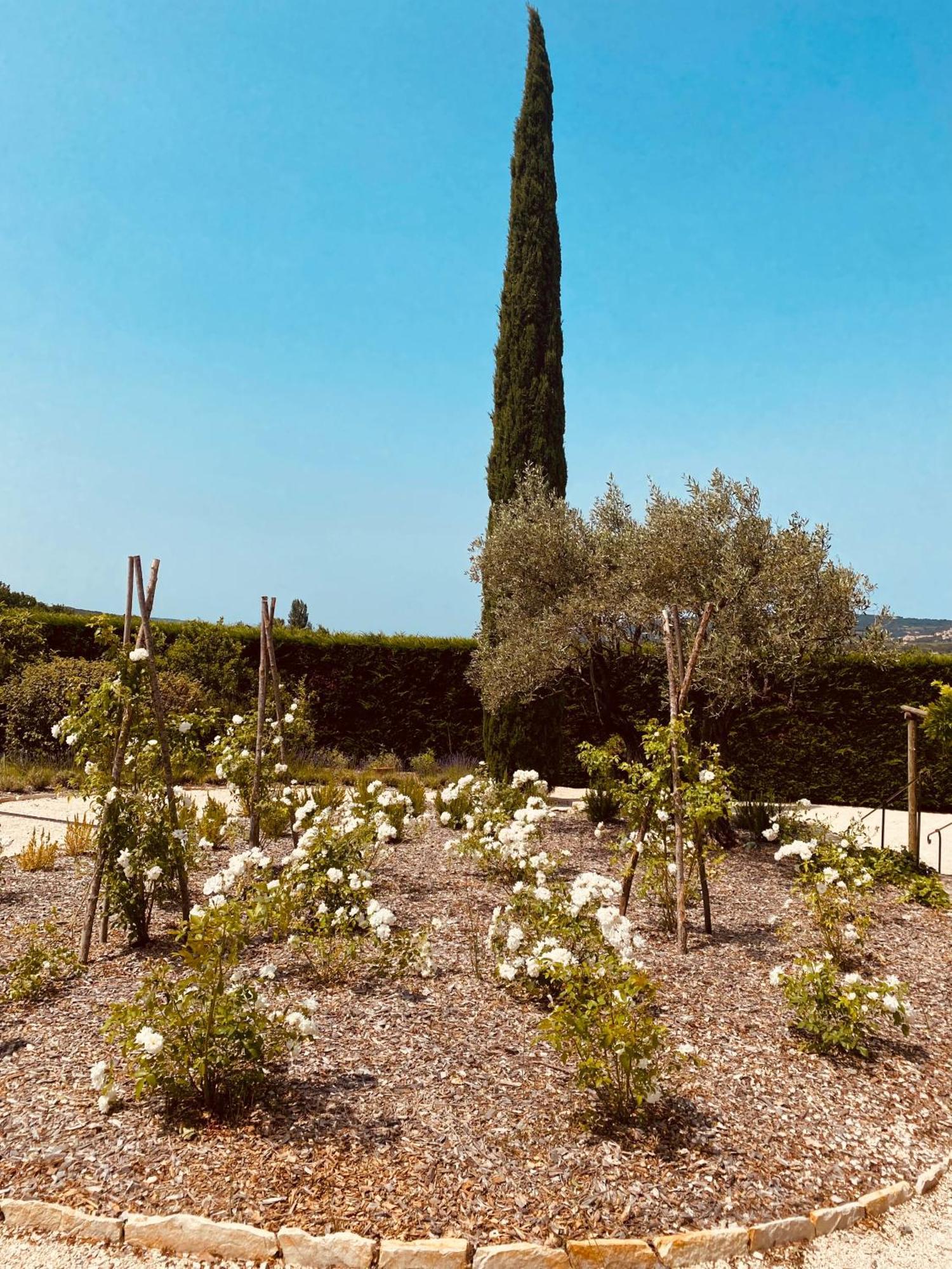 Holiday home La Bastide Des Oliviers Provence - Aux Baronnies *