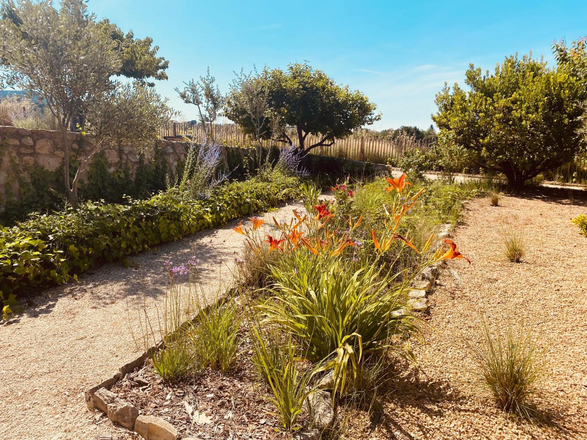 La Bastide Des Oliviers Provence - Aux Baronnies Vakantiehuis