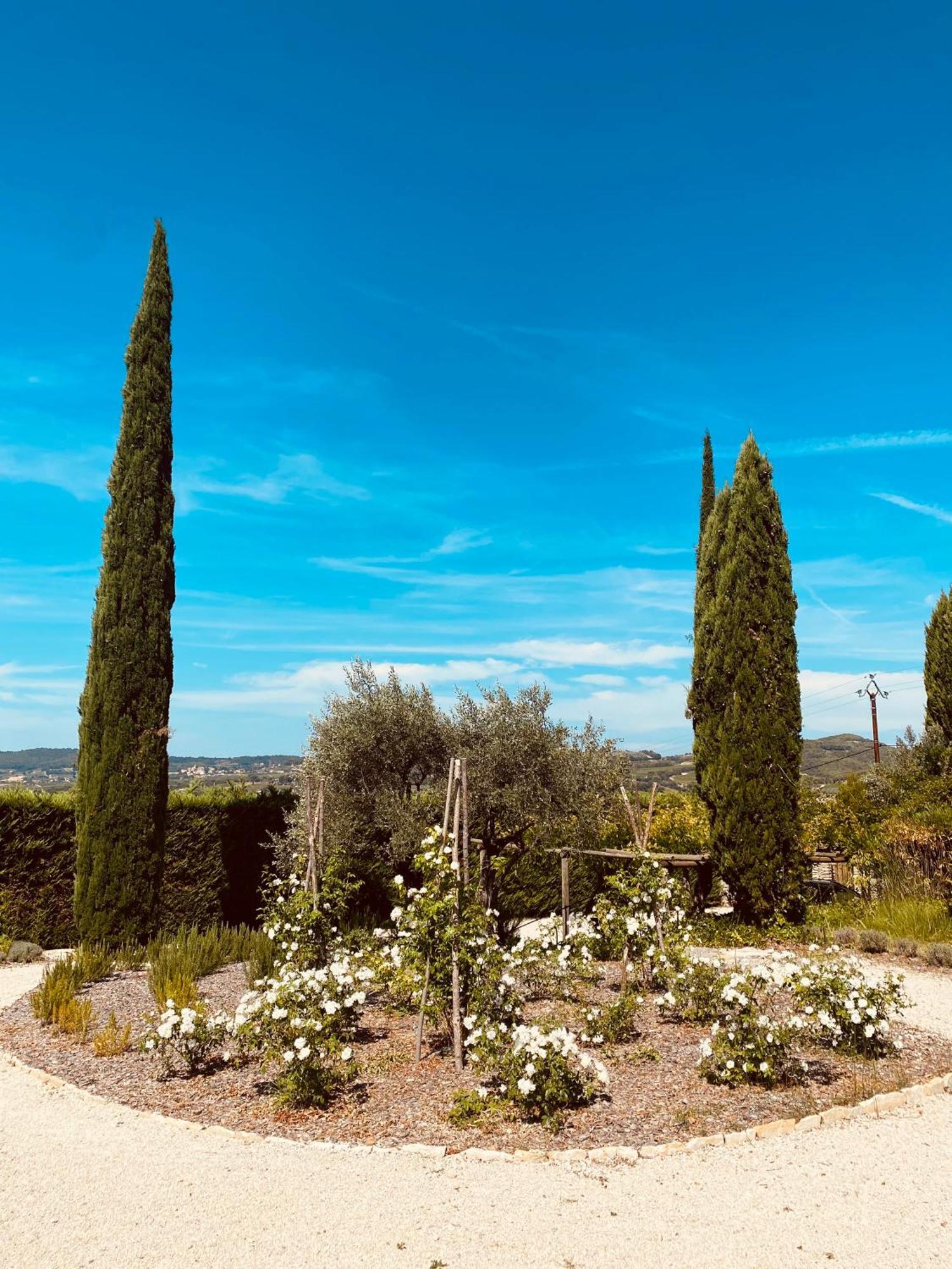 La Bastide Des Oliviers Provence - Aux Baronnies
